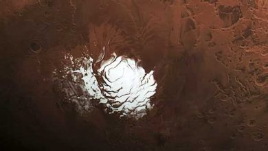 Water On Mars : Salt Lakes Found On Mars Gives New Hopes To Scientists
