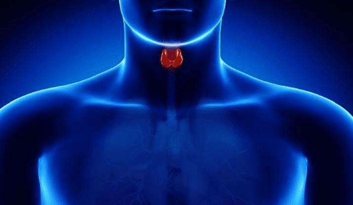 New organ discovered in human throat, will be helpful to cure cancer