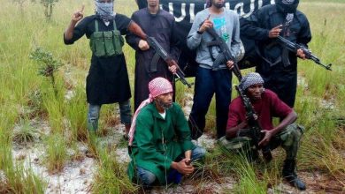 A scary incident has been reported from the South African country of Mozambique. The Islamic State (ISIS) militants beheaded 50 people from a village.