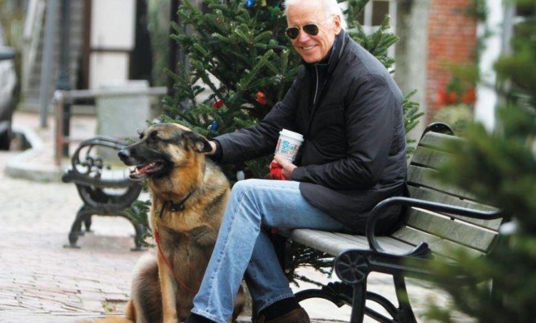Joe Biden gets fractures while playing with his dog
