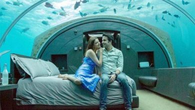 Photos : Kajal Aggarwal honeymoon suite costs Rs 37 lakh per night, Read on