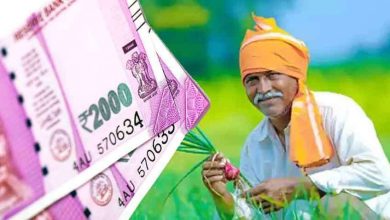 PM Kisan Yojana : Register soon to get Rs 6000 every year, Know the process