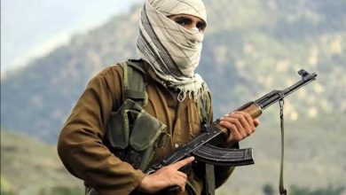 TTP responsible for 100 terrorist attacks last year : UN report