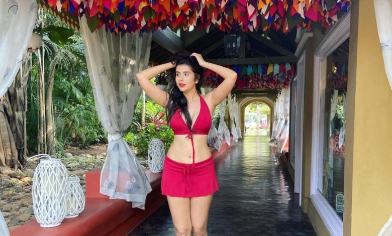 Sushmita Sen’s sister-in-law Charu Asopa shares extremely bold photoshoot