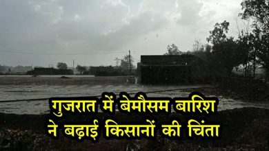 गुजरात में इन जगहों पर बिन मौसम बारिश की आशंका, किसानों को हो सकता हैं भारी नुकसान!