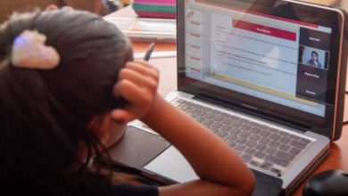 6 साल की बच्ची की PM को की गई ऑनलाइन क्लास शिकायत के वायरल होने के बाद दिए गए कारवाई के संकेत