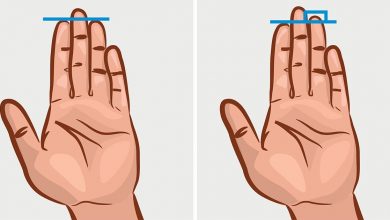 क्या आप जानते हैं आपकी उंगली की लंबाई आपके व्यक्तित्व के बारे में बताती है?