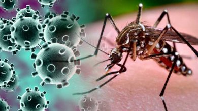 COVID19, डेंगू और मलेरिया के लक्षणों को अलग कैसे बता सकते हैं?