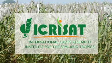 ICRISAT - को 2021अफ्रीका विश्व खाद्य पुरस्कार से सम्मानित किया गया