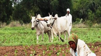पीएम किसान सम्मान निधि योजना के तहत किसानों को 4,000 रुपये मिलने की संभावना