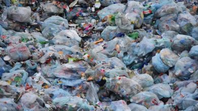 भारत को प्लास्टिक कचरे से मुक्त बनाने के लिए 1 अक्टूबर से होगा स्वच्छ भारत अभियान