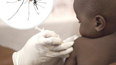 WHO ने विश्व की पहली मलेरिया वैक्सीन को दी मंजूरी