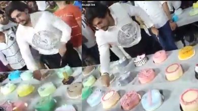 Video: अपने जन्मदिन को यादगार बनाने के लिए शख्स ने काटे 550 केक