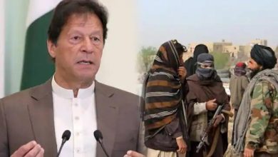 पाकिस्तान का तालिबान प्रेम फिर से आया सामने और कहा - दुनिया की परवाह नहीं जारी रहेगी मदद