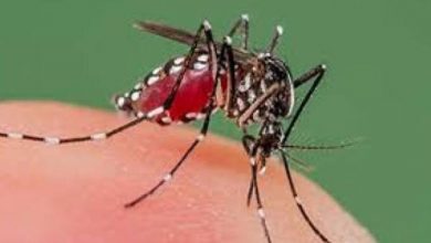 कोरोना के बीच डेंगू का बढ़ता कहर, ज्यादा केस वाले राज्य में एक्सपर्ट्स की टीम भेजेगा केंद्र