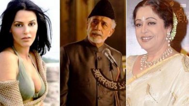 बॉलीवुड की ये 7 एक्टर-एक्ट्रेस कर चुके हैं पाकिस्तानी फिल्मों में काम!