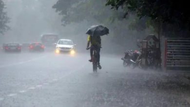IMD ने केरल में भारी बारिश के चलते 11 जिलों में ऑरेंज अलर्ट किया जारी