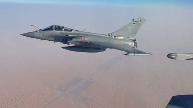 भारतीय वायु सेना प्रमुख ने कहा , भारत को फरवरी में म‍िलेंगे बचे हुए चार में से तीन राफेल