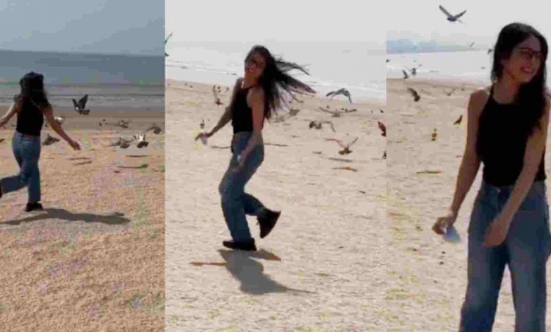 शहनाज गिल कबूतरों के साथ मस्ती करती हुई आई नजर, कहा "काश मैं भी उड़ पाती"