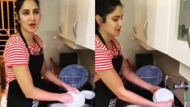 शादी के बाद Katrina Kaif का बर्तन धोते आई नजर - Video