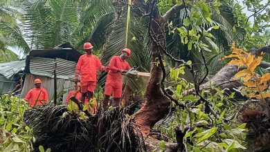 Cyclone Asani: चक्रवात ‘असनी’ से अंडमान के कुछ हिस्सों में बारिश, तेज हवाएं बनी आफत, IMD ने जारी किया अलर्ट