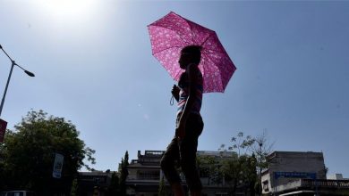 गुजरात : राज्य में 3 दिन हीटवेव का पूर्वानुमान, सौराष्ट्र-कच्छ में भीषण हीटवेव, अहमदाबाद में येलो अलर्ट की आशंका