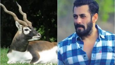 Salman Khan को कांकानी हिरण मामले में राजस्थान कोर्ट का बड़ा फैसला