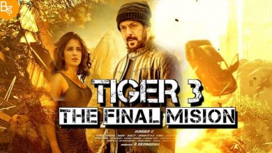 सलमान खान-कैटरीना कैफ की 'टाइगर 3' इस दिन देगी सिनेमाघर में दस्तक -जाने रिलीज डेट