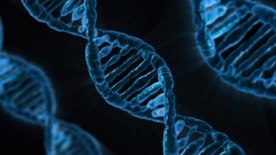 वैज्ञानिकों ने मानव जीनोम अनुक्रम प्रकाशित किया