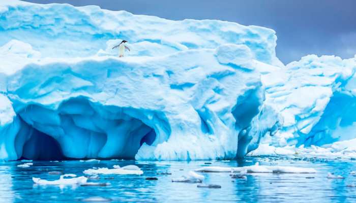 वैज्ञानिक है उत्साहित,अंटार्कटिका शुरू हुई 4 महीने की रात