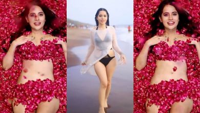 बिना कपड़ों के गुलाब की पंखुड़ियों पर लेट गई उर्फी जावेद,देखे सेक्सी वीडियो