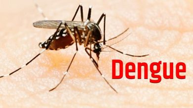 Dengue Fever Sign: जाने डेंगू के लक्षण,रखें ये सावचेती