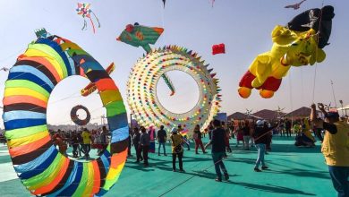 गुजरात के चार शहरों में होगा भव्य पतंग महोत्सव,विदेशी लोग भी होंगे शामिल