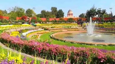 Amrit Udyan: मुगल गार्डन का नाम बदलकर अमृत उद्यान किया गया