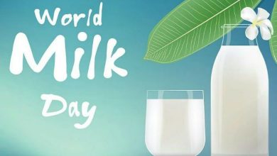 World Milk Day 2023: जाने कैसे और कब से मनाया जाता है