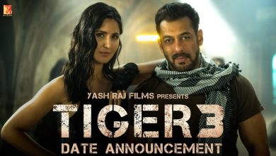 फिल्म 'जवान' के साथ आ सकता है सलमान की 'टाइगर 3' का टीज़र