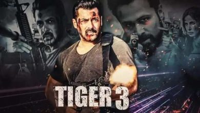 इस फिल्म के साथ रिलीज होगा Salman Khan की Tiger 3 का टीजर!