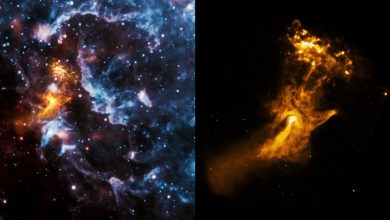 नासा के एक्स-रे टेलीस्कोप ने हाथ के आकार की ब्रह्मांडीय संरचना की तस्वीर की शेयर