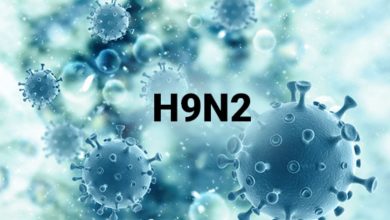 चीन में H9N2 इन्फ्लूएंजा वायरस का बढ़ा खतरा, जानें कारण, लक्षण और बचाव के उपाय